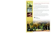 METRO CEMETERY POLICIES Chestnut Grove Memorial Garden … · memorial to someone not buried in the cemetery. $250 MEMORIAL COPING These are polished granite decorative borders that
