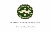 WoodlandCPS Bushcraft Risk Assessment for Fundamentals sessionwoodlandcps.co.uk/wp-content/uploads/2017/11/woodlandcps-bush… · Risk Assessment for Bushcraft Fundamentals Session