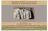 MARICOPA COUNTY ADULT PROBATION€¦ · The Maricopa County Adult Probation Department (MCAPD) uses general risk and needs assessment tools, the Offender Screening Tool (OST) and