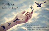 To Fly or Not to Fly? - static.studyladder.co.uk · Many species of birds migrate seasonally. Some travel only short distances and others travel great distances to ˚nd places where