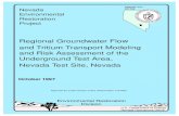 Regional Groundwater Flow and Tritium Transport Modeling .../67531/metadc... · Nevada and California, encompassing the Nevada Test Site regional groundwater flow system. These data