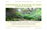 ONTARIO’S NATIVE PLANT CATALOGUE€¦ · Table of Contents TABLE OF CONTENTS Introduction 4 Photographs 5 Nurseries 5 Sources and Resources 10 How to use this Catalogue 19 Explanatory