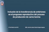 Inclusión de la transferencia de embriones en el …sigan.org/carne2015/ponencias/Transferencia-embriones...Inclusión de la transferencia de embriones en el programa reproductivo