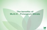 The benefits of Multi-K - Potassium Nitrate · PDF file multi-K (Potassium Nitrate) 210 310 450 Potassium sulfate (SOP) 80 100 110 Multi-K dissolves in water quickly and completely,