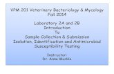 VPM 201 Veterinary Bacteriology & Mycology Fall 2014 ...people.upei.ca/jlewis/VPM_201_Labs_2A...MOODLE._CA_Muckle-_Se… · Laboratory 2A and 2B Introduction To Sample Collection