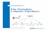 Pig Mainline Liquids Pipelines - HDCPig Mainline Liquids Pipelines February, 2001 Page ii of ii Human Development Consultants Ltd. 7 Pig Loading and Launching Practices 32 7.1 Loading