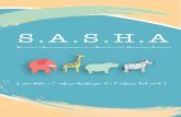 S.A.S.H - WordPress.com · S.A.S.H.A propose à vos enfants de découvrir le langage théâtral - qui lie le corps à la parole - de s’exprimer différemment, de communiquer et