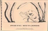 POETIC WETLANDS · 2015-11-05 · POETIC WETLANDS. Objectives. D. The student will: 1. give a general defintion of "wetlands." 2. describe two categories of wetlands. 3. develop a