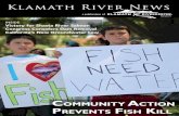 INSIDE Victory for Shasta River Salmon Congress ... Klamath River News 1 Fall 2014 a publication of Klamath River News Community ACtion Prevents Fish Kill Fall 2014 INSIDE Victory