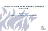 Recent Advances on the Impact of Endocrine Disruption · 2014-04-22 · Recent Advances on the Impact of Endocrine Disruption Åke Bergman Stockholm University, Stockholm, ... Testosterone