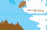 Independent Panel on Forestry Final Report - gov.uk...The Government proposals in 2011 to change the way the public forest estate might be managed led to a public outcry which underlined