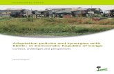 Adaptation policies and synergies with REDD+ in ...Adaptation policies and synergies with REDD+ in Democratic Republic of Congo Context, challenges and perspectives Félicien Kengoum