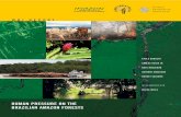 BRAZILIAN AMAZON FORESTS - World Resources Institutepdf.wri.org/human_pressure_amazon.pdf · HUMAN PRESSURE ON THE BRAZILIAN AMAZON FORESTS 9 FOREWORD Brazil has the largest expanse