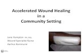 Accelerated Wound Healing in a Community network... Accelerated Wound Healing in a Community Setting Jane Hampton RN, MSc. Wound Specialist Nurse Aarhus Kommune Study questions 1.