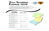 Tree Seedling Catalog 2020 - New Jersey · Tree Size Benefits. Arrowwood viburnum . 8 - 12” 10 - 18” 8 - 12” 10 - 12” 8 - 12” Viburnum dentatum. Beach plum . Prunus maritima.