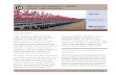 CHAPTER Selecting quality treeS from the nurSery · CHAPTER Selecting Quality Trees from the Nursery p. 2 Production method To ensure greater transplant survival, choose trees grown
