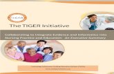 TIGER Collaborative Exec Summary 040509 - Amazon S3s3.amazonaws.com/rdcms-himss/files/.../tiger-report-executive-sum… · EXECUTIVE SUMMARY. 3. The TIGER Initiative focused on raising