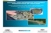 MANUAL FOR INTENSIVE HATCHERY...MANUAL FOR INTENSIVE HATCHERY . PRODUCTION OF ABALONE . Theory and practice for year-round, high density seed production of blacklip abalone (Haliotis