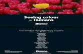 Seeing colour – Humans€¦ · Seeing colour - Humans Humans can see differences in the wavelengths of colours. This helps us to tell colours apart. Special cells on the retinas
