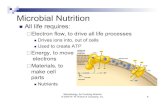 Microbial Nutrition and Growth - Weber State …faculty.weber.edu/coberg/2054 slides/Microbial Nutrition...Microbial Nutrition ! All life requires: " Electron flow, to drive all life
