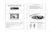 Anatomy Review LOTA 2015 handout · anatomy, including where anatomical variations lead to clinical manifestations. 2 THE CADAVER IS THE BEST TOOL FOR LEARNING GROSS ANATOMY TO LEARN