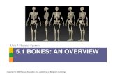 Unit 5 Skeletal System 5.1 BONES: AN OVERVIEW · Title: Nerve activates contraction Author: Karl Miyajima Created Date: 2/20/2018 10:44:27 AM