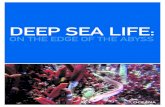 DEEP SEA LIFE - Oceanaoceana.org/sites/default/files/reports/Deep_Sea_Report... · 2020-01-05 · deep sea floor known as the abyssal plain are long mountain ranges called ocean ridges,