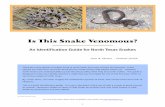 Is This Snake Venomous?williamson.agrilife.org/files/2014/08/Venemous-Snakes.pdf · venomous snakes of north Texas. By “north Texas,” we mean roughly the northeastern quarter