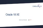 Oracle 18 XE - CarajanDB · 1 Oracle Database Catalog Views 18.0.0.0.0 VALID SYS 1 Oracle Database Java Packages 18.0.0.0.0 REMOVED SYS 1 Oracle Database Packages and Types 18.0.0.0.0