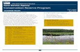 Conservation Reserve Program · 2020-05-16 · The Pilot will be focused in the Great Lakes and Chesapeake Bay Priority Areas. The Conservation Reserve Program (CRP) provides farmers