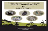 VERTEBRATES OF PUBLIC HEALTH IMPORTANCE IN CALIFORNIAwestnile.ca.gov/pdfs/VCTManual-VertebratesofPHSignificanceinCA.pdf · The vast majority of snakes and other reptiles in North