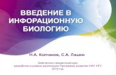 ВВЕДЕНИЕ В ИНФОРАЦИОННУЮ БИОЛОГИЮkib.nsu.ru/open_upload/lec-7.pdf · • вторично-активный (энергия градиента одного