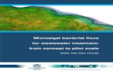Microalgal bacterial flocs for wastewater treatment: from ... · Van Den Hende, S., 2014. Microalgal bacterial flocs for wastewater treatment: from concept to pilot scale. Ph.D. dissertation.