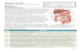 Name(s): HASPI Medical Anatomy & Physiology 15a Lab ... · HASPI Medical Anatomy & Physiology 15a Lab Activity The Digestive System Digestion is an important process that involves
