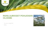 RUISLAJIKKEET POHJOISIIN OLOIHIN...POLLENPLUS ® PollenPlus on saksalaisen Lochow-Petkusin kehittämä menetelmä, joka mahdollistaa paremman siitepölyn muodostumisen hybridilajikkeilla.