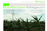 RaiffeisenMagazin - Der DRV :: | Deutscher ... · nehmen biete mit PollenPlus®-Hybridroggen Sorten an, die eine besonders gute Mutterkorn-Abwehr aufwiesen. Für diese positiven Auswirkungen