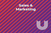 Sales & Marketing - Usable Media · Audit the current Business Status. Includes Sales Channels, Deal Reviews, Market Share, Competitors, Goals, Plans, Challenges, Timeline Objectives
