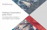 Rating Corporativo pela Fitch - Instituto Brasileiro de ......Capacidade de suportar pressões competitivas (ex: posição nos mercados de atuação e habilidade de influenciar preços).