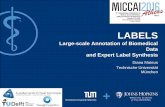 LABELS Large-scale Annotation of Biomedical Data and Expert …campar.in.tum.de/files/labels2016/2016-LABELS-Mateus... · 2016-10-21 · Keynote: Domain Adaptation for Microscopy