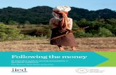 Following the money - home - pubs.iied.org.pubs.iied.org/pdfs/12583IIED.pdf · International. She is a human rights lawyer with expertise on housing rights, land tenure and resettlement