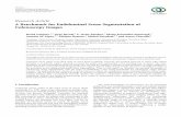 A Benchmark for Endoluminal Scene Segmentation …downloads.hindawi.com/journals/jhe/2017/4037190.pdfA Benchmark for Endoluminal Scene Segmentation of Colonoscopy Images David Vázquez,1,2
