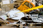 The European WEEE Directive - infoDev · Britain, Denmark, etc.) to full responsibility (in Cyprus, Estonia, Finland, Latvia, Poland, etc.) Take-back and recycling of household WEEE