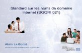 Standard sur les noms de domaine Internet SGQRI 021...Un nom de domaine utilisé avant la date d’entrée en vigueur du présent standard [11 décembre 2006] et qui n’est pas conforme