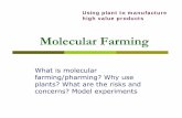 What is molecular farming/pharming? Why use plants? What are … · 2018-03-13 · Molecular farming includes method to integgggprate a foreign gene into plants. Molecular farming