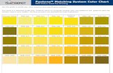 PMS 136 - tentdepot.ca · PMS 812 2X PMS 813 2X PMS 814 2X PANTONE® and other Pantone, Inc. trademarks are the property of Pantone, Inc. Created Date: 7/24/2018 2:09:45 PM ...