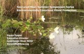 Sea Level Rise: Summer Symposium Series Environmentally Conscious Flood Protection · 2018-10-05 · Sea level rise and flooding--what can you do? 1. Educate yourself. 2. Attend the