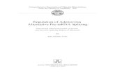 Regulation of Adenovirus Alternative Pre-mRNA Splicing165076/FULLTEXT01.pdf · processing (capping, polyadenylation, splicing), RNA export, RNA stability, translation, to post-translational
