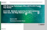DOE Bioenergy Technologies Office (BETO) 2019 Project Peer ... engineering for lignin...Coproduct MFSP* Market Price Productivity $/GGE $/ton g/L/hr Itaconic $2.08 1704 1 Adipic $2.49