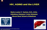 HIV, AGING and the LIVER - Virology Educationregist2.virology-education.com/6thCoinf/docs/02_Vachon.pdf · Aging, HIV and the liver: interactions Aging and the liver. 1,2. 4. Decrease