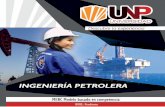 unp.com.mxunp.com.mx/pdf/ing_petrolera.pdfCreated Date: 8/17/2017 2:24:26 PM